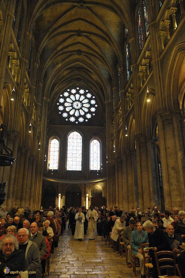 Nom de l'image : D30050316_1_(c)Norbert-JUNG — Description :